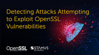 Detecting-OpenSSL-Vulns