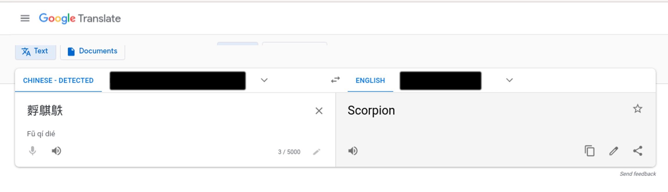 Google Translate showing suspicious HTTP user agent translation