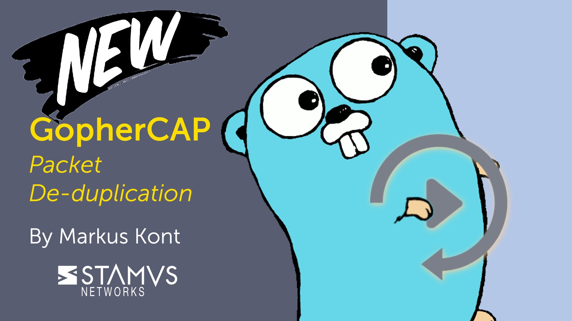 GopherCap Packet De-duplication by Markus Kont