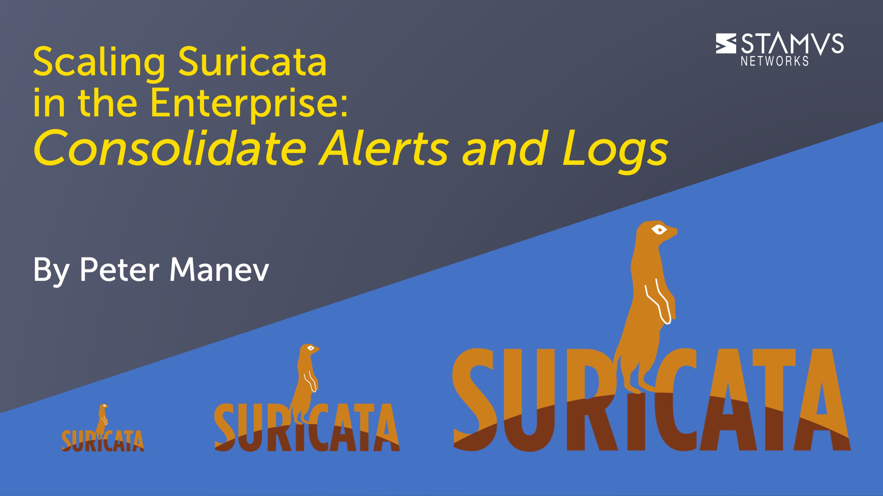 IMAGE: Scaling Suricata in the Enterprise - Consolidate Alerts and Logs 