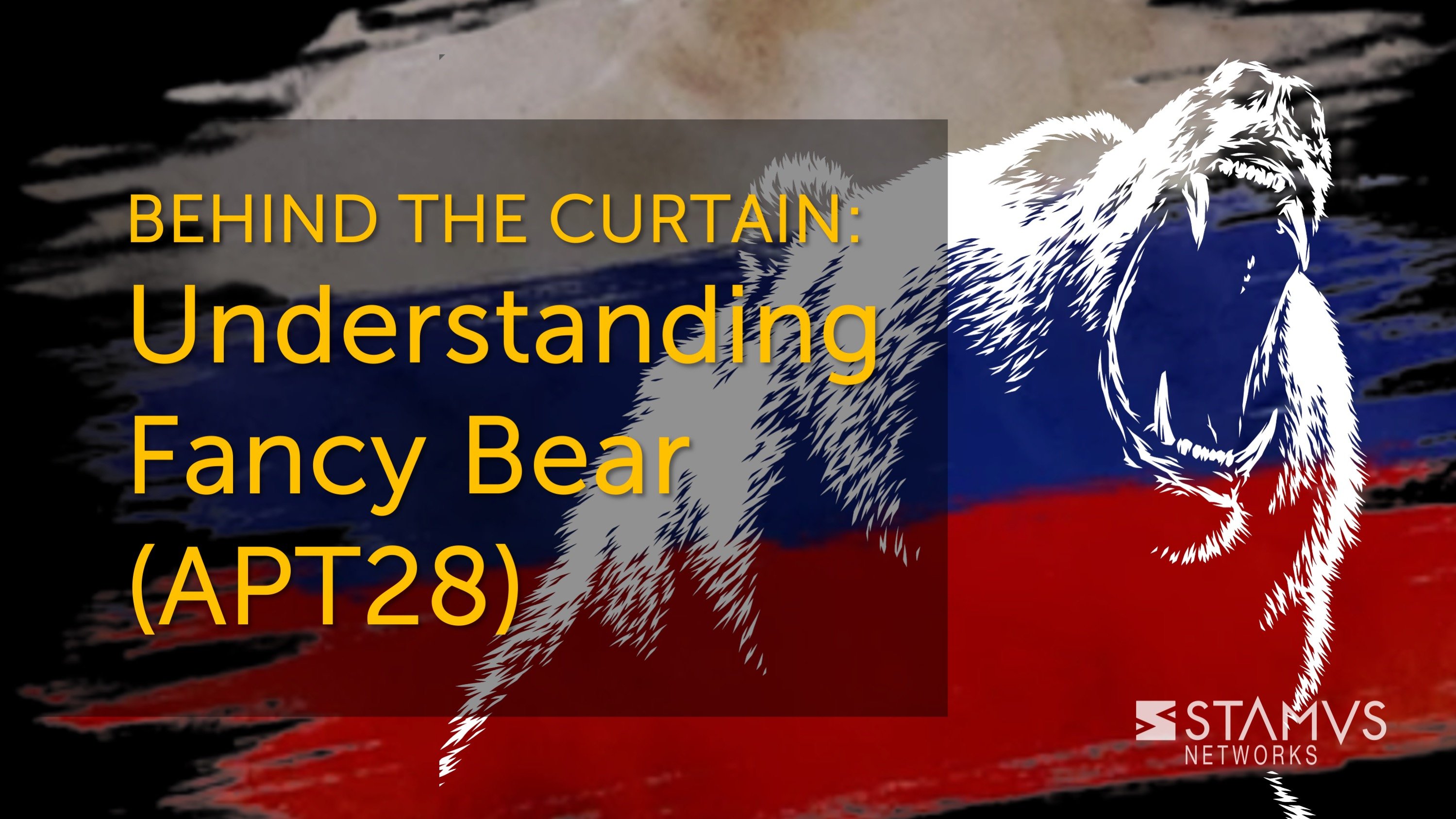 Behind the Curtain: Understanding Fancy Bear (APT 28)