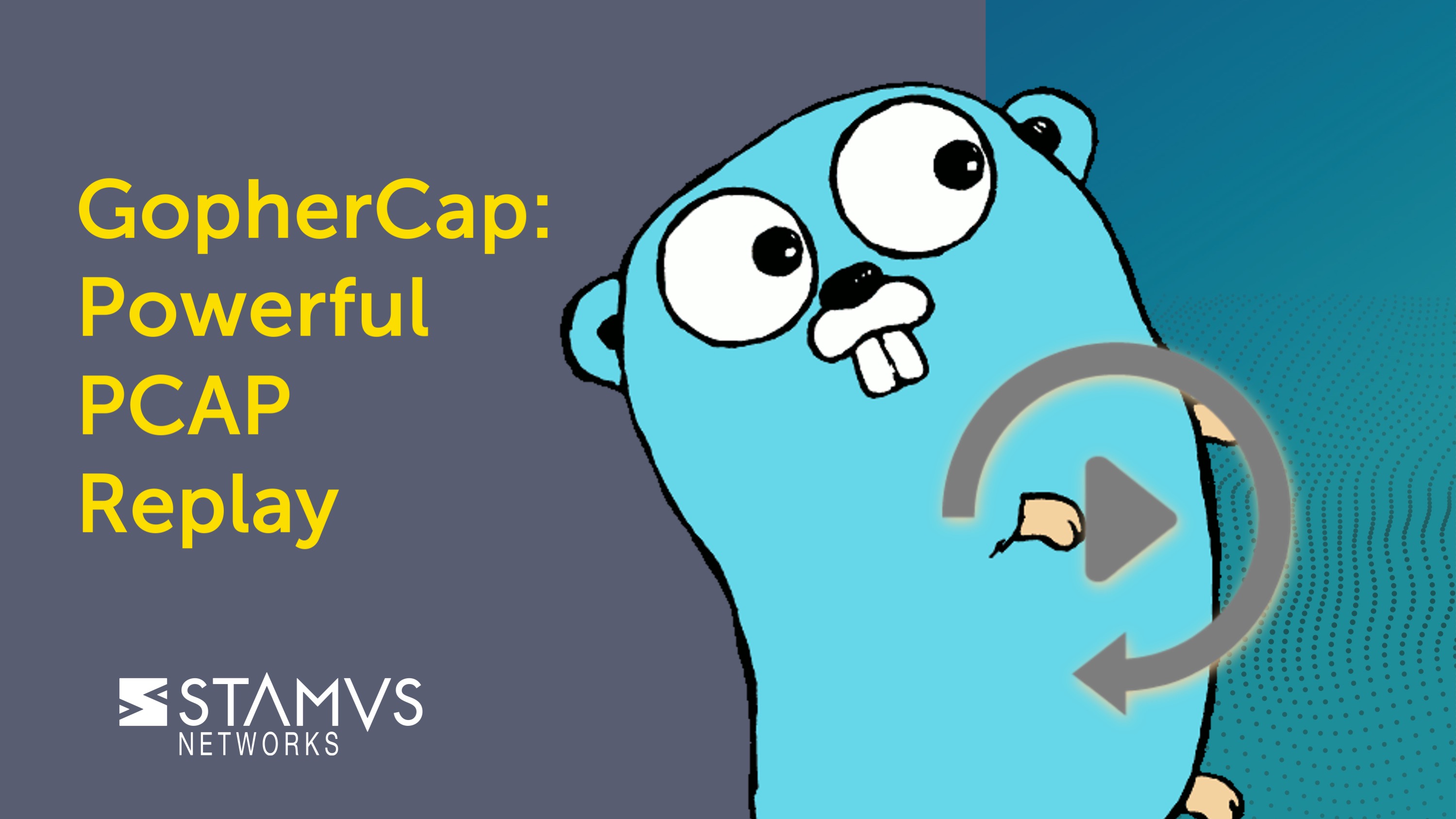 StamusLabs GopherCap Card