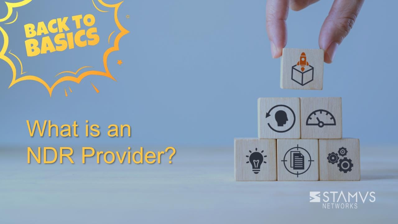 What is an NDR Provider?